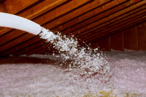 Best Eco-Friendly Insulation in Taylor, TX