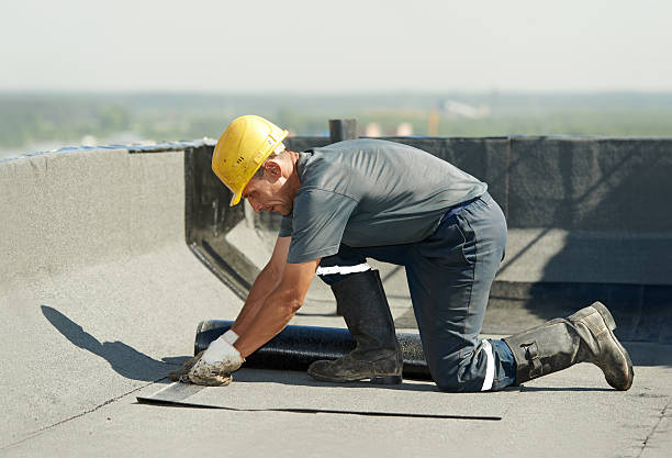 Best Insulation Maintenance and Repair in Taylor, TX