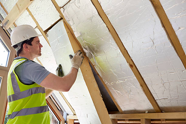 Best Geographic-Specific Insulation Services in Taylor, TX